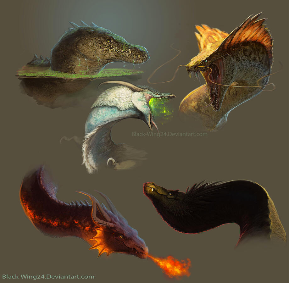 Random Dragon Designs