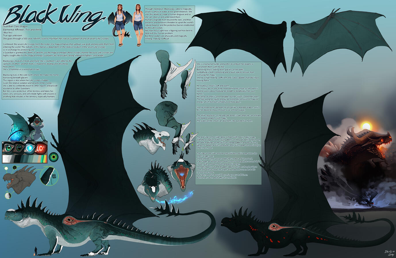 Blackwing Ref Sheet - 2025